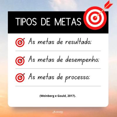 Tipos de metas - Coaching Esportivo - Linhares Coach